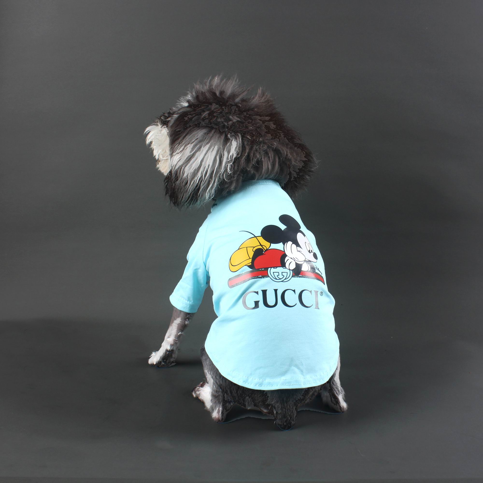 Gucci Dog S-XXL 7 (5)